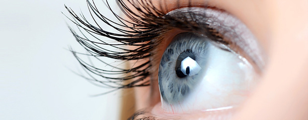 Amniotic Membrane Market