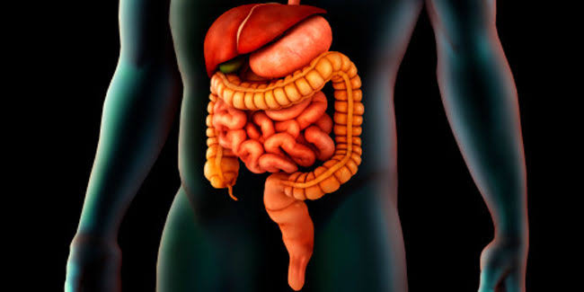 Short Bowel Syndrome Market