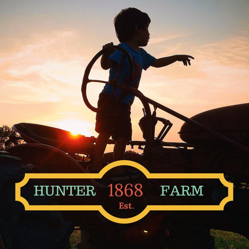 Company Logo For The Hunter Farm'