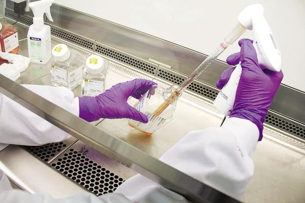 conjugate vaccine Market