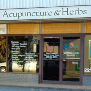 Company Logo For The Lakelands Acupuncture'