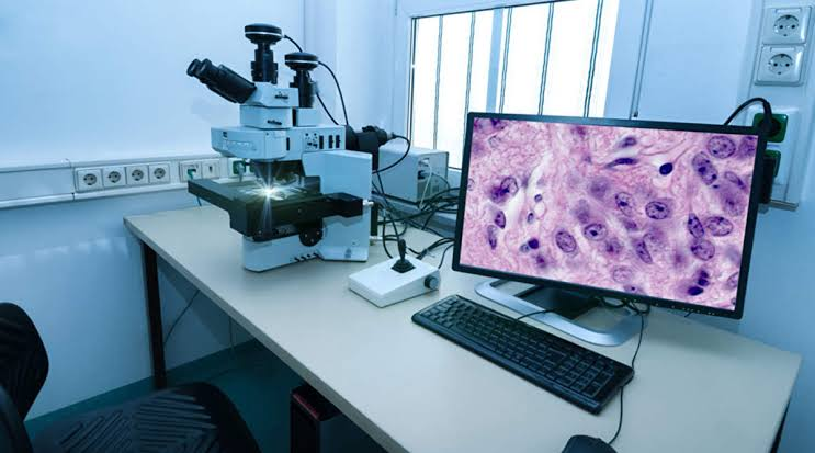 Digital Pathology Market