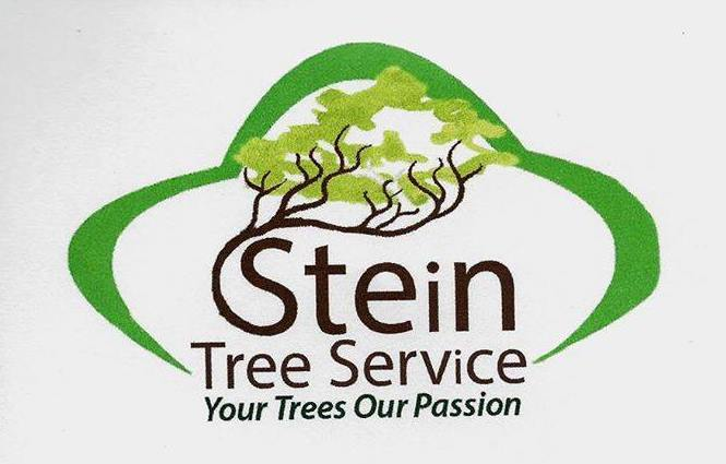 Company Logo For Stein Tree Service'