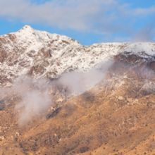 Del Mesa Properties Logo