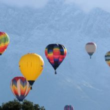 Property Management'