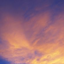 Real Estate Rentals'