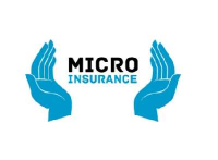 Microinsurance Market Outlook: 2020 the Year on a Positive N