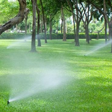 Sprinkler Irrigation'