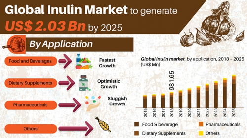 Inulin Market 2020 - Global Industry Research Update, Future'