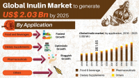 Inulin Market 2020 - Global Industry Research Update, Future