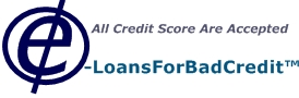 e-loansforbadcredit.com'