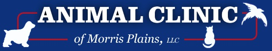 Animal Clinic of Morris Plains, LLC'
