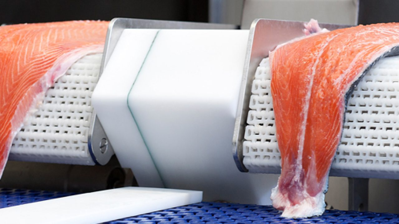 Processed Seafood and Seafood Processing Equipment Market'