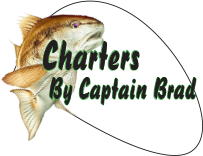 Daytona Beach Fishing Charter