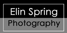 Elin Spring Photography