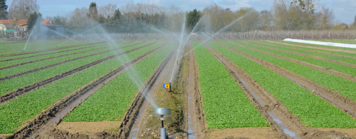 Sprinkler Irrigation Systems Market'