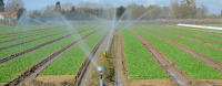 Sprinkler Irrigation Systems Market
