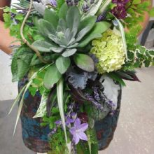 Fresh Flowers'