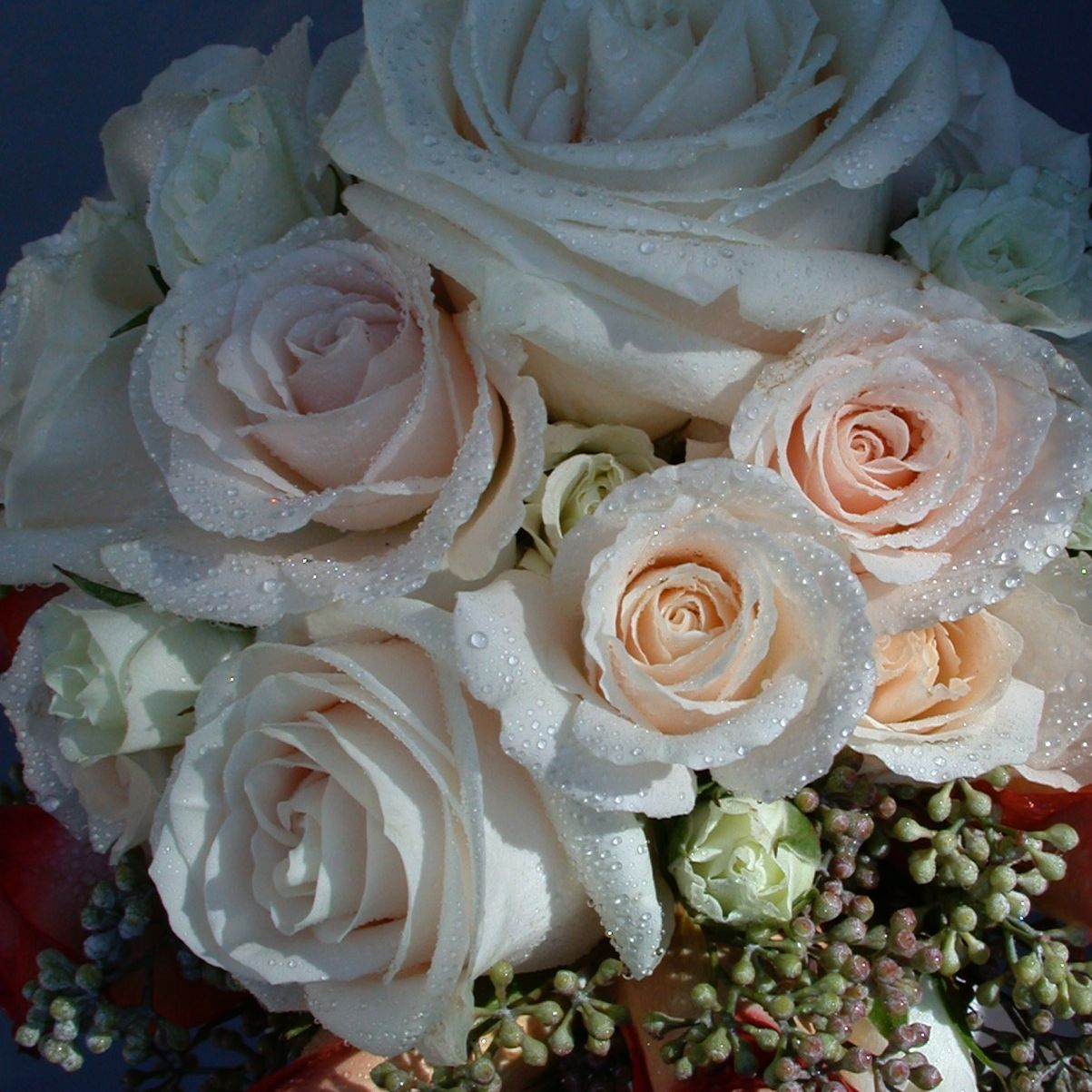 Flower Delivery'