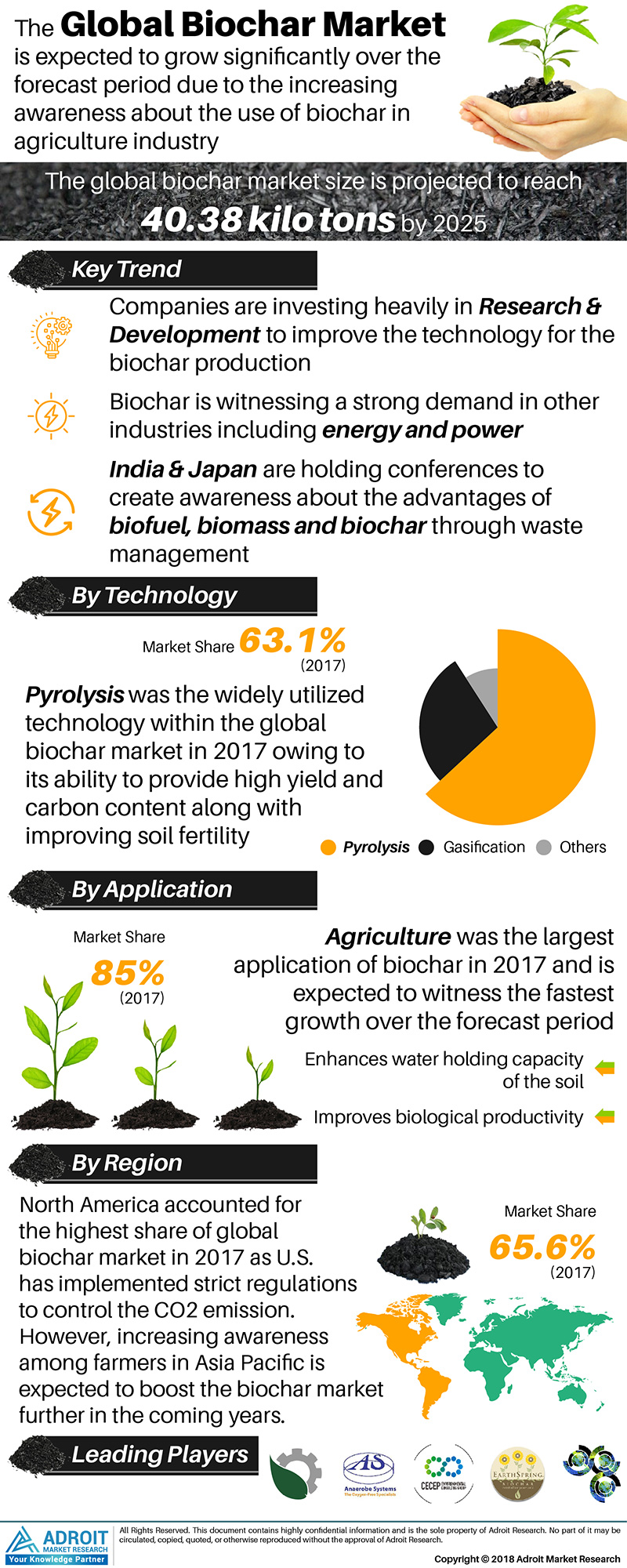 Biochar Market, Biochar Market Size, Biochar Market Share, B