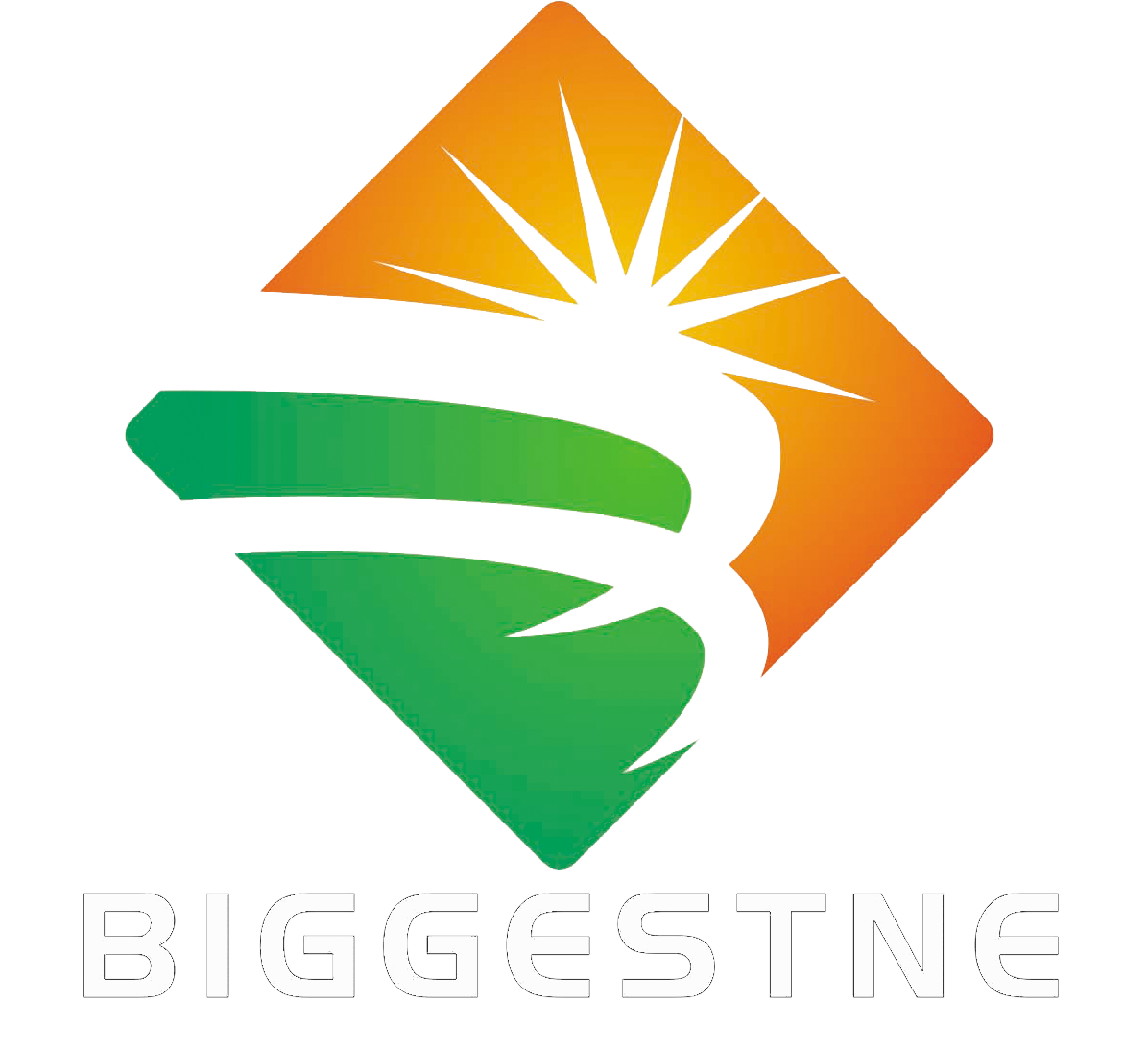 Company Logo For bgsolar'