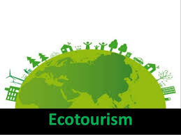 Ecotourism Market