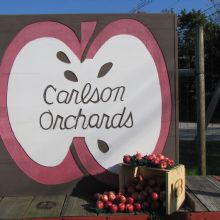 Company Logo For Carlson Orchards, Inc'