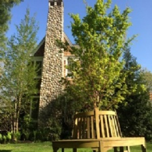 Company Logo For Andover Arborists'