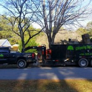 Whispering Tree Service
