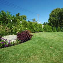Landscape Designer'