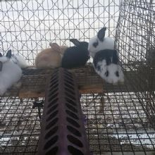 General Hardware and Supply