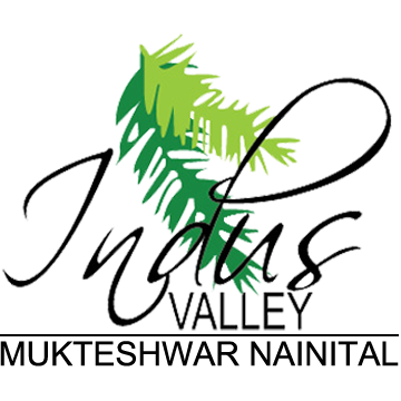 Property for Sale in Nainital'