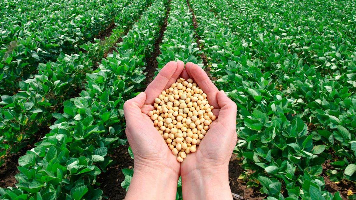 Crop Micronutrients Industry