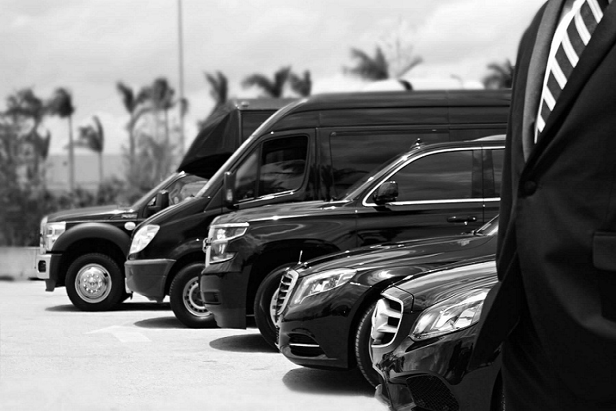 Company Logo For Limousine Services Chicago Indianapolis IN'