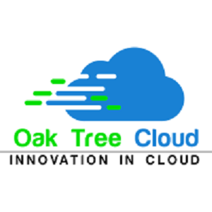 Salesforce Development | Web Development Company'