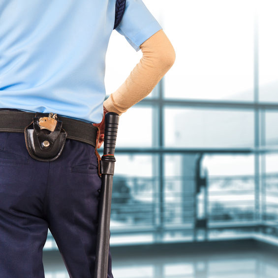 Security Systems'