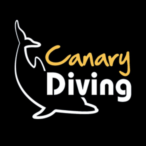 Best Scuba Diving in Gran Canaria | Canary Diving Adventures'