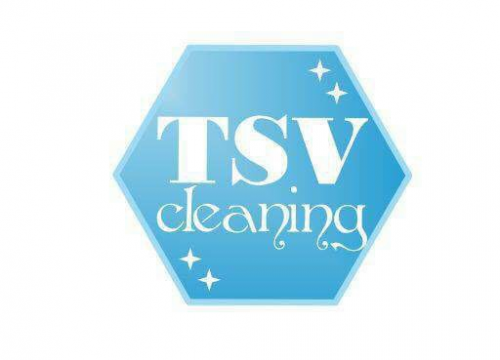 Company Logo For TSV Cleaning'
