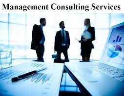 Management Consulting Services'