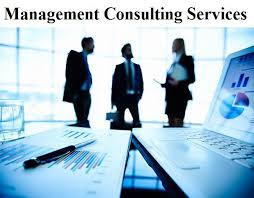 Management Consulting Services