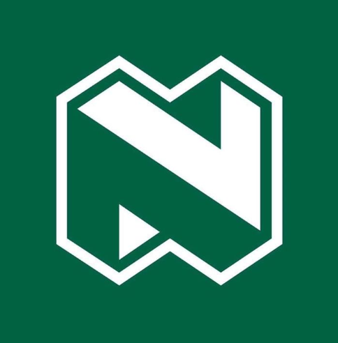Nedbank South Africa Logo