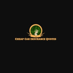 Company Logo For Cheap Car Insurance Tampa FL'