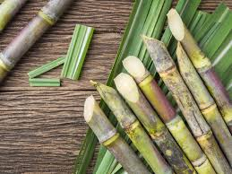 Sugarcane Market'