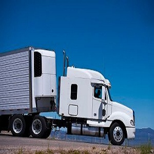 Britts 24 Hour Mobile Truck and Trailer Services