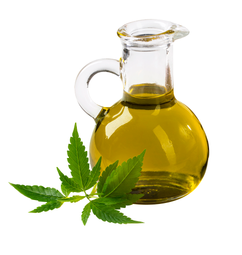 Company Logo For Gc & sons'