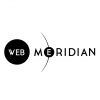 Company Logo For WebMeridian'