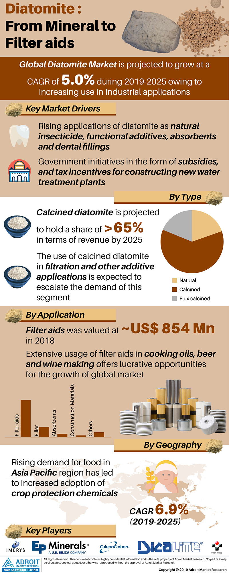 Global Diatomite Market Size, Share, Type, Application &'