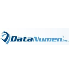 Company Logo For DataNumen Inc'