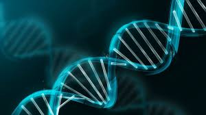 Genomics Market to see Growing Popularity over Worldwide