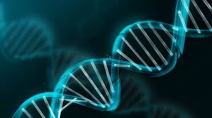 Genomics Market to see Growing Popularity over Worldwide'